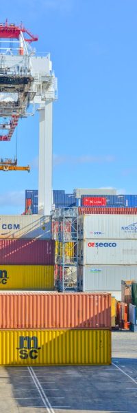 pexels-frans-van-heerden-201846-2881632